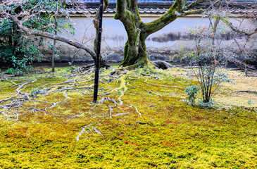 京都、宝鏡寺門跡（百々御所）の庭園