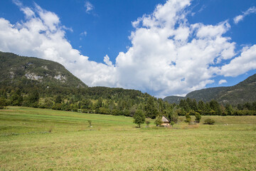 Residential house, a slovenian chalet building, in the middle of a mountain glade, a clearing in...