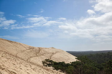 Panorama of the sandy Pila dune (Dune du Pyla) with the pine forest of Landes de Gascogne in Background. Pilat, or Pyla Dune is the biggest sand dune in Europe, in Arcachon Bay, in Aquitaine......