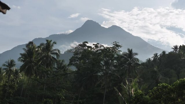 High gray mountains are shown in the distance. Gray glowy sky with clouds. Green dense paths. The video looks like a beautiful living picture. Rest and expeditions in tropical forests.