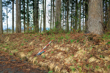 土地の測量　山林　杭　イメージ