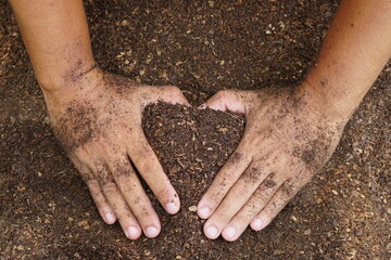 Farmers mix the soil to grow crops. provide the minerals that plants need It is growing fast and strong.