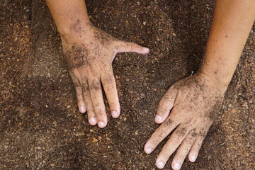 Farmers mix the soil to grow crops. provide the minerals that plants need It is growing fast and strong.