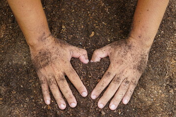 Farmers mix the soil to grow crops. provide the minerals that plants need It is growing fast and strong.