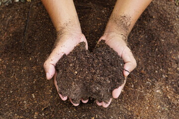 Farmers mix the soil to grow crops. provide the minerals that plants need It is growing fast and strong.