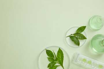 Top view of green tea extract decorated in petri dish and laboratory equipment in white background 