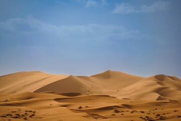 Obraz na płótnie Canvas サハラ砂漠 Sahara Desert