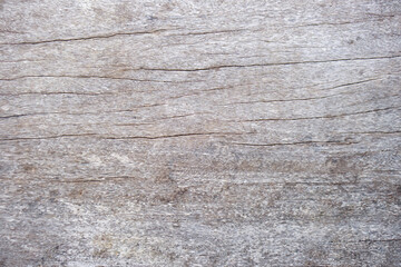 Fototapeta premium old wooden floor has a beautiful pattern.