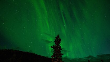 Beautiful Green Lights At Night