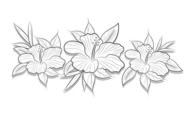 Floral vintage sketch coloring page black and white with line art on white backgrounds.