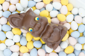 Chocolate bunny laying on candy eggs