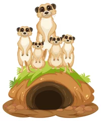 Gruppe von Erdmännchen mit Bau im Cartoon-Stil © blueringmedia