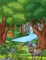 Waldszene mit verschiedenen Wildtieren © blueringmedia