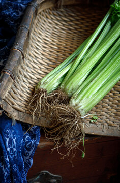 Close up of celery root