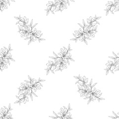 Line art flowers seamless pattern. Composition of botanical elements for fabric, wallpapper and surface design.