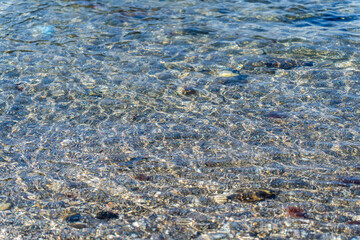 海　浅瀬のきらめき