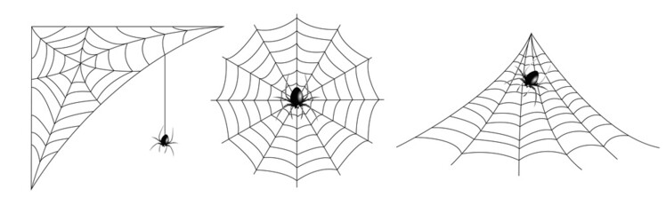 Obraz premium realistic set of spider web for Halloween.spider web editable stroke. spider web andsmall spider on a white background.