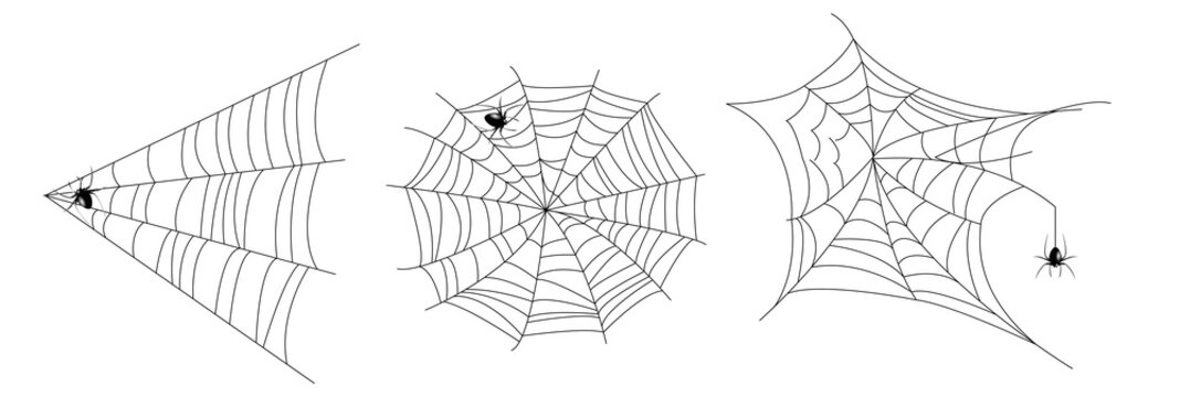 realistic set of spider web for Halloween.  

spider web editable stroke. spider web and 

small spider on a white background.

