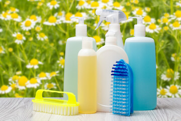Bottles of detergent and brushes for cleaning.