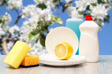 Bottles of dishwashing liquid, plates and sponges on natural background.