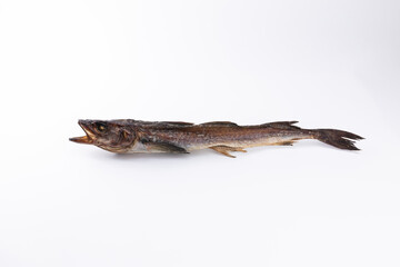 1 dried pollack on a white background