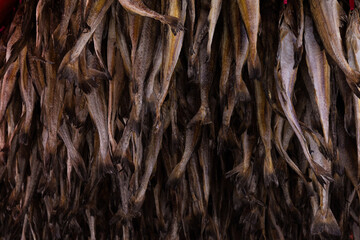 Close-up of dried pollack, winter in Korea.