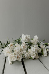 bush dianthuses on a green wall in a vase