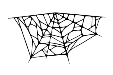 Spider web isolated on white background. Spooky Halloween cobweb. Handrawn vector illustration