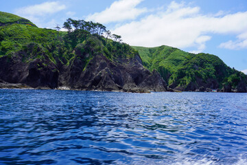 Naklejka premium Hirizo Beach and cape in Shimoda, Shizuoka, Japan