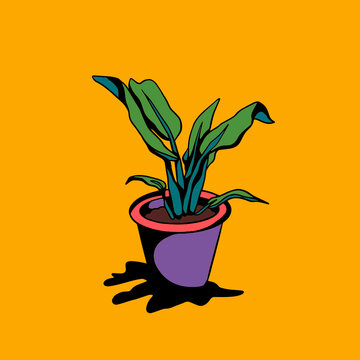Plant Vase