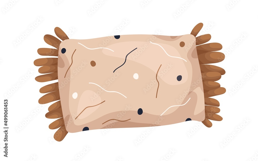 Poster modern rectangle-shaped pillow with fringe. decorative rectangular cushion design. cosy home interio