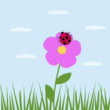 Minimalist Illustration with flower, ladybug and clouds. Cute simple vector illustration. Minimalistic floral picture with insect
