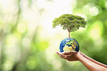 hand holding globe with planting trees and blurry green nature ecological concept. Elements of this...