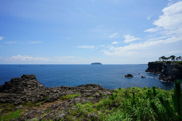 fine rock coast and island