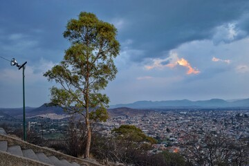 landscape with trees and clouds