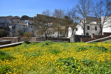 A lawn in front of old houses in Bisaccia, a village in the province of Avellino in Italy.