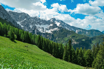 Fototapeta na wymiar Panoramic view from a green alpine meadow on rocky sharp cloud covered mountain peaks of Kamnik Savinja Alps in Carinthia. Border sign Austria Slovenia. Mountaineering. Freedom. Look on Grintovec