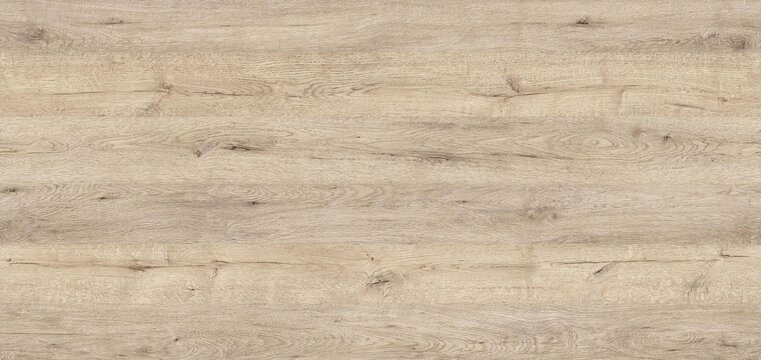 seamless wood texture background, oak texture for furniture
