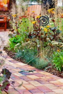 autumn garden with nice flowers