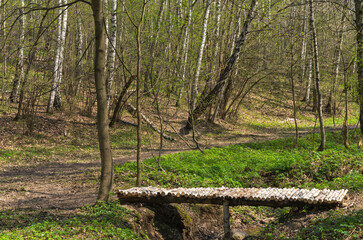Little bridge over the stream.