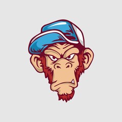 The head monkey with hat illustration isolated on white background
