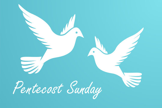 Pentecost Sunday background with flying dove