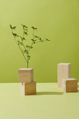 Front view of wooden podium and branch decorated in green background 