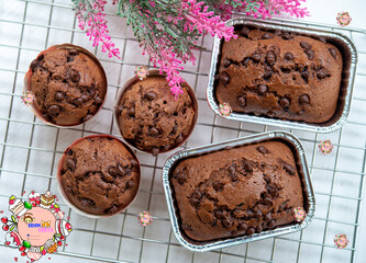 chocolate cake on white background