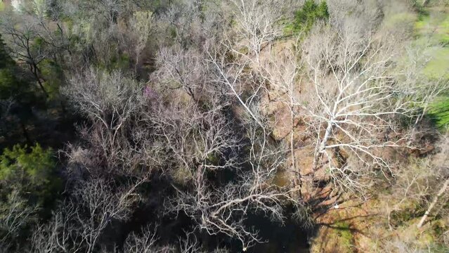 Aerial footage of Post Oak Creek in Sherman Texas.  This creek is famous for fossilized shark teeth.