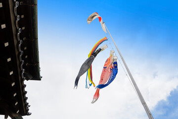 青空の鯉のぼり　空に泳ぐ鯉のぼり　鯉のぼり