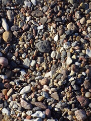 Close up of various size and color stones on the beach. Multicolor seashore pebble, nature backdrop or background, full frame