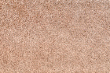 Fototapeta na wymiar The ecru color beige leather sample . Abstract background with copy space, top view