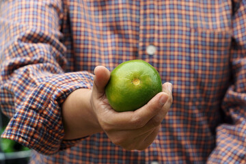 A female seller holding a lime in her hand.