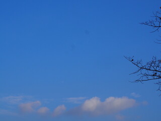 空